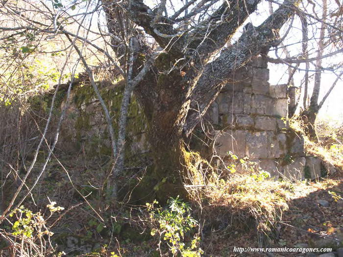 NGULO NOROESTE DEL TEMPLO